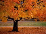 Autunno, meteo