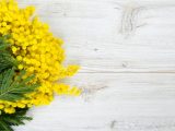 festa delle donne, parole