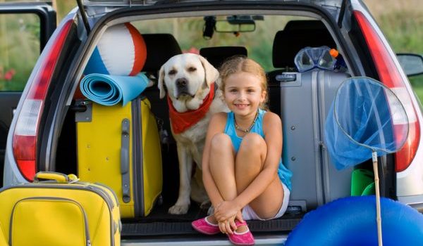 auto, viaggio, cane