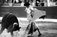 Saragozza, torero incornato al volto. Il video