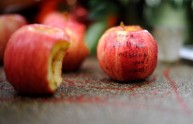 Foto: gli Apple Store nel mondo in lutto per Steve Jobs