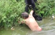 Scimmia inferocita lincia un ubriaco nel lago: il video