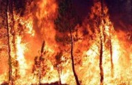 Savona, divampa incendio: un centinaio gli sfollati