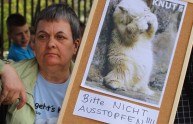 Animali come show per gli zoo tedeschi, continueranno anche quest'anno?