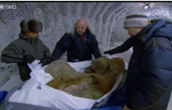 Ritrovato mammut conservato nel ghiaccio da 10.000 anni, il video