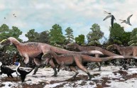 Il cugino del Tyrannosaurus Rex aveva le piume