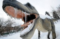 Dinosauri a sangue caldo, lo rivela uno studio