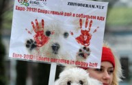 Strage "silenziosa" di cani in Ucraina, le parole di Cucchi (VIDEO)