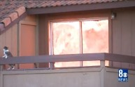 Appartamento in fiamme, gatto si salva lanciandosi dal secondo piano