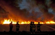 Pompieri spengono le fiamme di un incendio boschivo