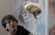 Il cervello umano cambia i ricordi, lo rivela uno studio recente