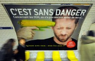 Dimostrata la tossicità degli OGM