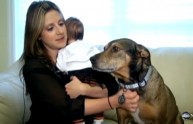 Duke, cane-eroe salva bimba di poche settimane dalla morte