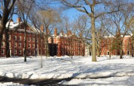 Harvard, l'università dei suicidi