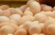 Ingoia 28 uova crude per scommessa, muore poco dopo
