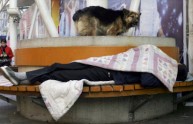 Dormitori pubblici aperti ai clochard e ai loro cani 