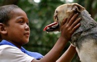 Kabang, la cagnolina eroica delle Filippine, ha sconfitto il cancro