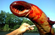 La creatura mostruosa trovata in un fiume del New Jersey (FOTO)