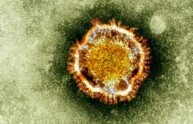 NCoV, il nuovo virus letale che terrorizza gli scienziati