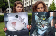 Belli e buoni, da oggi 11 marzo stop test cosmetici su animali in UE