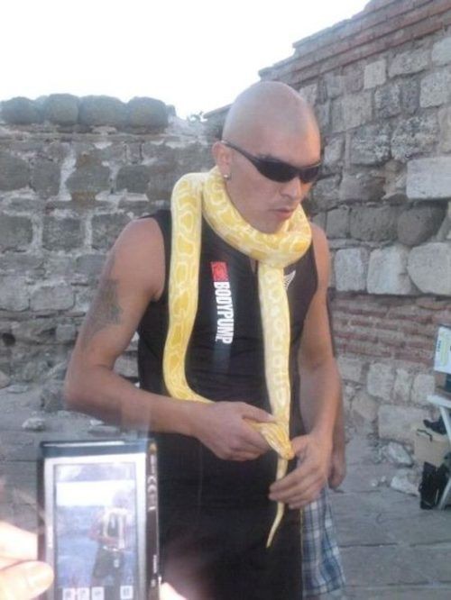 Una sciarpa per serpente