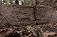 Chactún, l'antica città Maya scoperta in Messico (VIDEO)