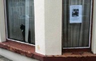 Gatto smarrito fotografato vicino all'annuncio della sua scomparsa