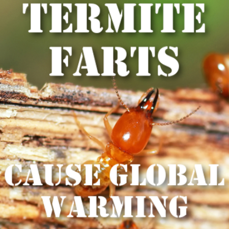 http://www.recapo.com/wp-content/uploads/2013/05/drs-termite-farts-f.png