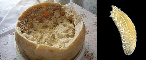 Casu Marzu