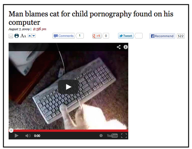 L'uomo che incolpa il gatto per il materiale pedopornografico trovato sul suo computer