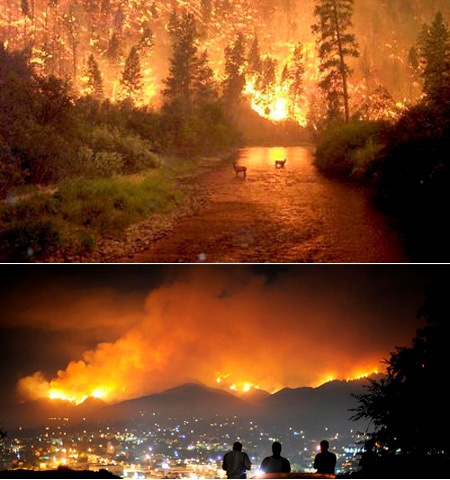 Incendi California
