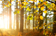 15 ragioni per cui l'autunno è la stagione più "deliziosa"