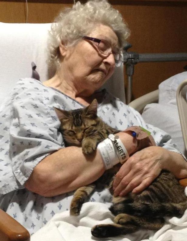Gatto e anziana donna