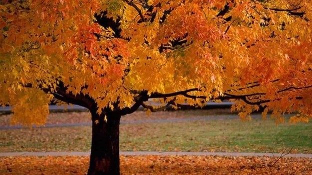 Autunno, meteo