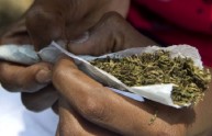 Cannabis ad uso terapeutico, ok del governo alla legge abruzzese
