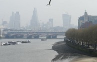 Stormi di uccelli attaccano una strada di Londra, abitanti impauriti