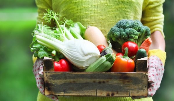 dieta detox