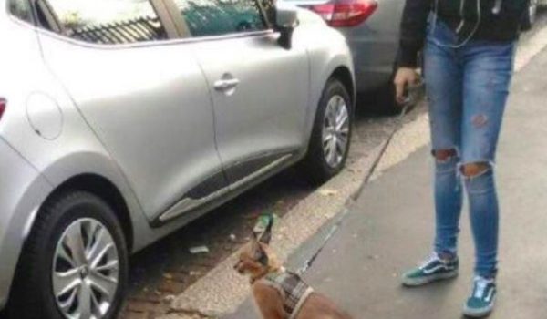 caracal milano
