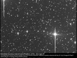gemini di, stelle cadenti