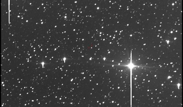 gemini di, stelle cadenti