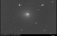 Astronomia, la cometa di Natale visibile a occhio nudo