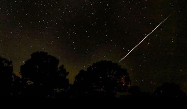 stelle, stelle cadenti