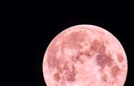 Astronomia, arriva la Luna piena rosa 