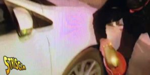 Valerio Staffelli investito durante la consegna del tapiro d’oro a Roberto Bolle