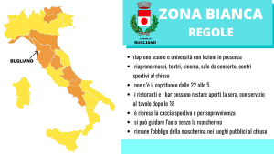 Stanno credendo al lancio del gatto organizzato dal Comune di Bugliano