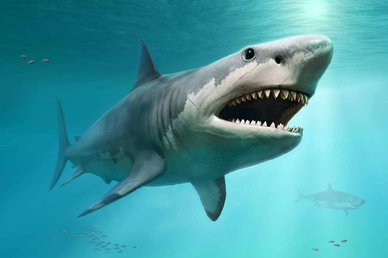 Megalodonte