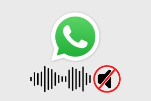 Rimuovere suoni notifiche su Huawei durante gli audio WhatsApp audio WhatsApp