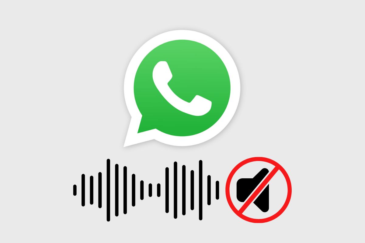 audio WhatsApp